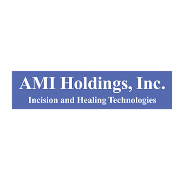 AMI Holdings